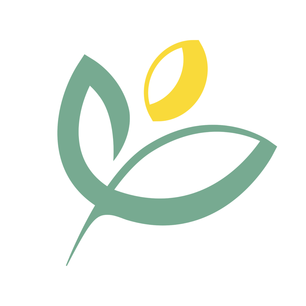 WBD Logo